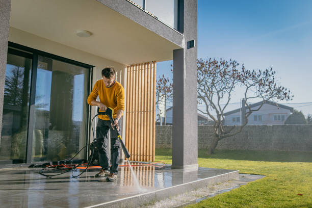 Best Driveway Pressure Washing  in Freeport, FL